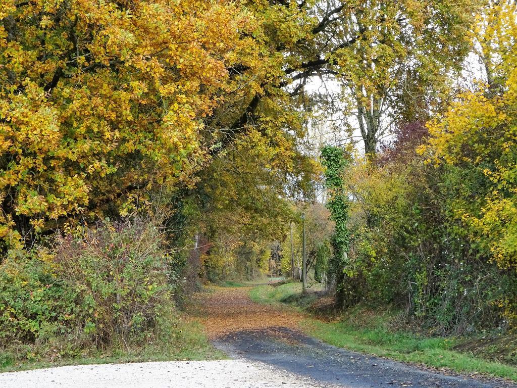 Les chaumières du Chêne Pouillé Exterior foto
